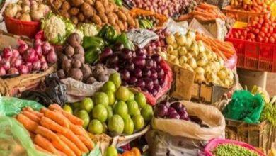 788 جريدة مؤسسة ايجي تايمز