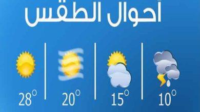 161 جريدة مؤسسة ايجي تايمز