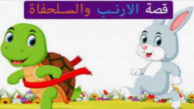 476741209 954766363387329 6012129504964478221 n جريدة مؤسسة ايجي تايمز