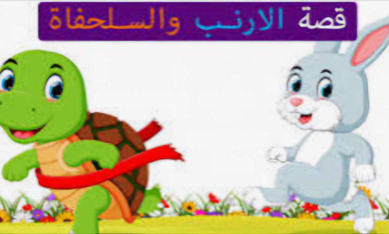 476741209 954766363387329 6012129504964478221 n جريدة مؤسسة ايجي تايمز