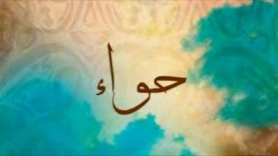480981224 2902848419865986 1467369959004122739 n جريدة مؤسسة ايجي تايمز