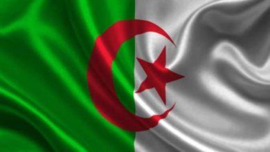 8c0c3a21 9f8d 4260 8ded d7f798dda62e جريدة مؤسسة ايجي تايمز