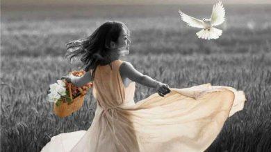 a11a631c b8a5 4c3d 8cb2 17aae7c0872d جريدة مؤسسة ايجي تايمز