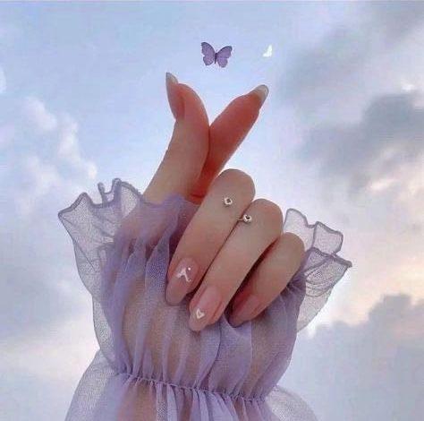 حَريم.. بقلم ولاء شهاب 1 b5fbcab4 c29a 468e 8616 20ff79296c12 جريدة مؤسسة ايجي تايمز