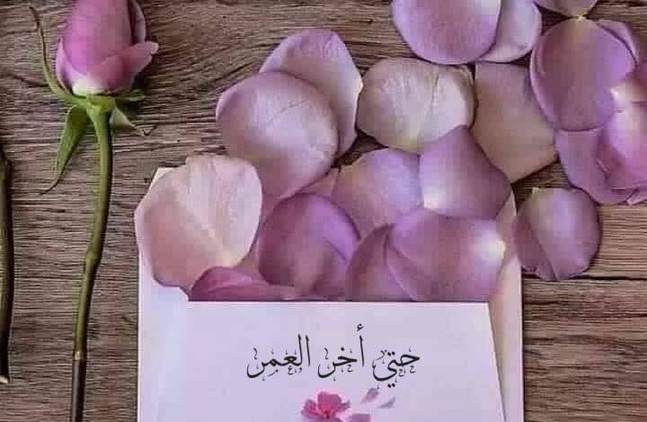 download 1 جريدة مؤسسة ايجي تايمز