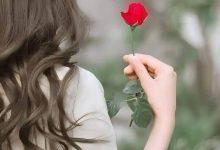 download 8 جريدة مؤسسة ايجي تايمز