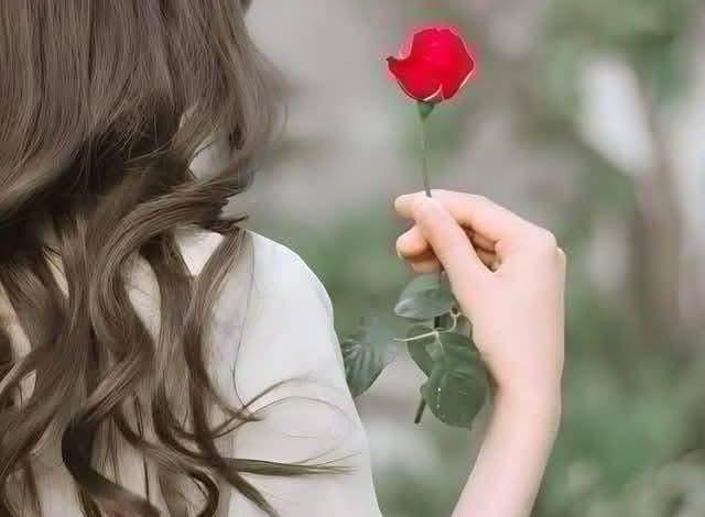 download 8 جريدة مؤسسة ايجي تايمز