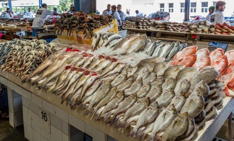 أسعار الأسماك اليوم الأربعاء 28 مايو 1 أسعار الأسماك