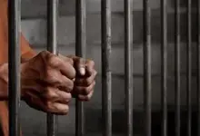 308 جريدة مؤسسة ايجي تايمز