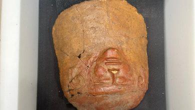 496924572 1226052572898494 2049818434379698274 n جريدة مؤسسة ايجي تايمز