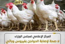 501367699 1240379104799174 3808110878720536344 n جريدة مؤسسة ايجي تايمز