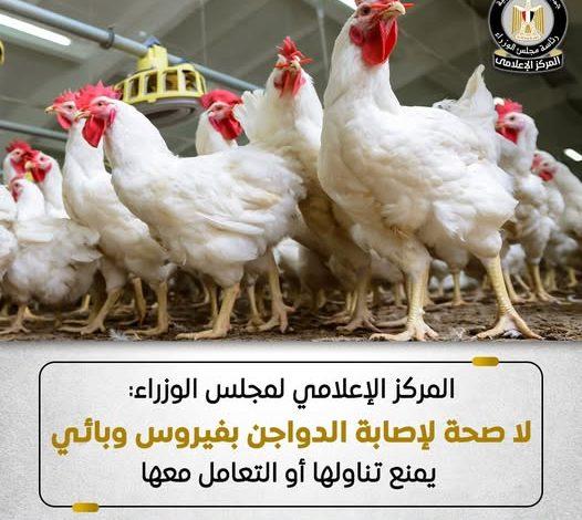المركز الإعلامي لمجلس الوزراء: أوضاع مزارع الدواجن مستقرة 1 501367699 1240379104799174 3808110878720536344 n جريدة مؤسسة ايجي تايمز