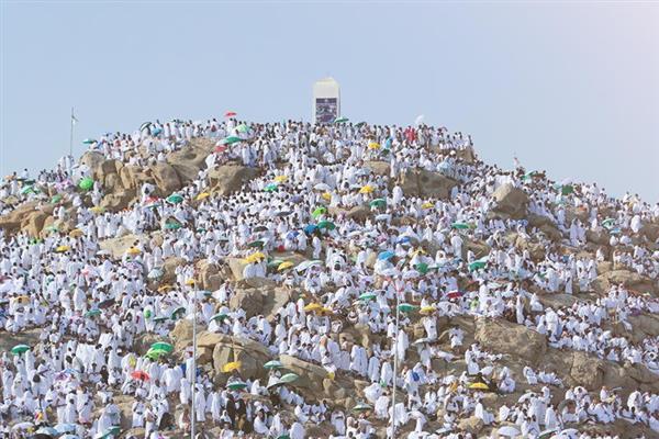 ضيوف برنامج خادم الحرمين الشريفين للحج يستقرون في مشعر عرفات 1 2025 638847205325413621 541 جريدة مؤسسة ايجي تايمز