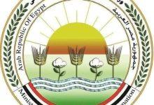 502576460 1243338564503228 2353903303121696332 n جريدة مؤسسة ايجي تايمز