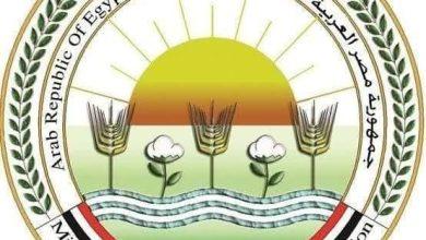 502576460 1243338564503228 2353903303121696332 n جريدة مؤسسة ايجي تايمز