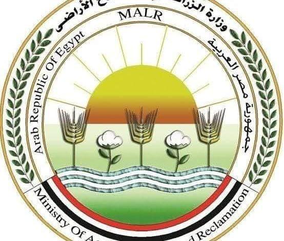 502576460 1243338564503228 2353903303121696332 n جريدة مؤسسة ايجي تايمز
