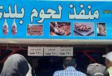 503177661 1913858659413728 804278366919788467 n جريدة مؤسسة ايجي تايمز