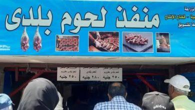 503177661 1913858659413728 804278366919788467 n جريدة مؤسسة ايجي تايمز