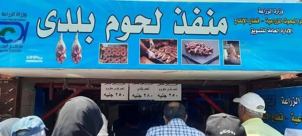 إقبال كبير من المواطنين على منافذ وزارة الزراعة لشراء لحوم عيد الأضحى 1 503177661 1913858659413728 804278366919788467 n جريدة مؤسسة ايجي تايمز