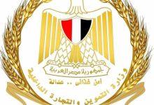 504381977 1247992054037879 4395067395221819488 n جريدة مؤسسة ايجي تايمز