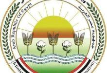 505138932 1248505447319873 2719713980672465697 n 1 جريدة مؤسسة ايجي تايمز
