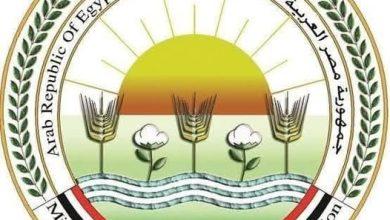 505138932 1248505447319873 2719713980672465697 n 1 جريدة مؤسسة ايجي تايمز