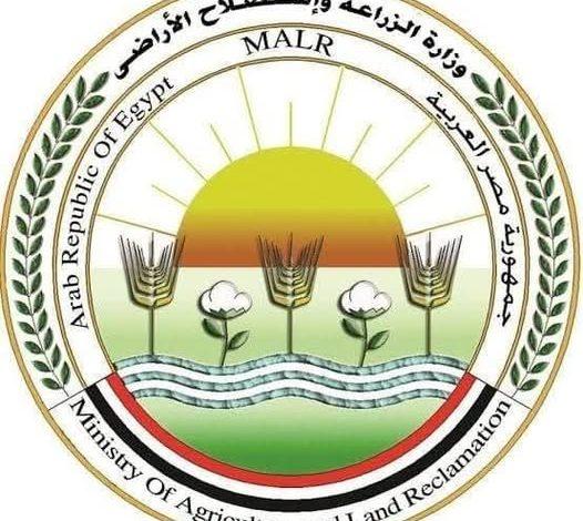 مستمرة طوال أيام التشريق.. وزير الزراعة يتابع أعمال لجان المرور على شوادر وأماكن بيع الأضاحي 1 505138932 1248505447319873 2719713980672465697 n 1 جريدة مؤسسة ايجي تايمز