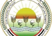 505846196 1251966400307111 1061189152794660817 n جريدة مؤسسة ايجي تايمز