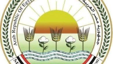 505846196 1251966400307111 1061189152794660817 n جريدة مؤسسة ايجي تايمز