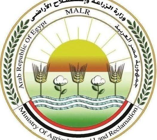 "الزراعة": المجازر الحكومية استقبلت أكثر من 34 ألف أضحية في العيد بجميع المحافظات 1 505846196 1251966400307111 1061189152794660817 n جريدة مؤسسة ايجي تايمز
