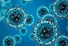 coronavirus 2.tmb 1920v جريدة مؤسسة ايجي تايمز