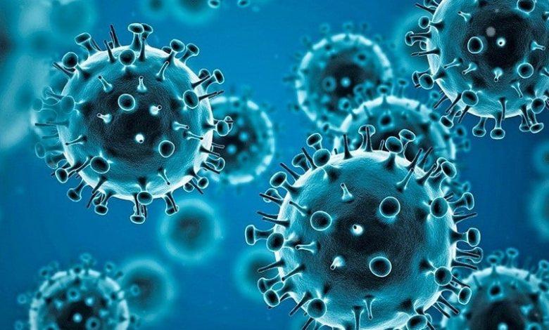 الصحة العالمية: كورونا انتشرت عن طريق الخفافيش مباشرة أو من خلال حيوان وسيط 1 coronavirus 2.tmb 1920v جريدة مؤسسة ايجي تايمز