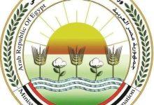 515684052 1274028541434230 2434244564867616877 n جريدة مؤسسة ايجي تايمز