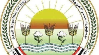 515684052 1274028541434230 2434244564867616877 n جريدة مؤسسة ايجي تايمز