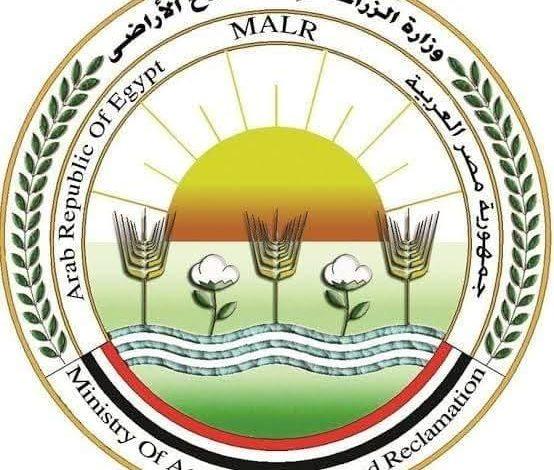 "الزراعة" تطلق 214 قافلة بيطرية مجانية في 176 قرية خلال يونيو الماضي 1 515684052 1274028541434230 2434244564867616877 n جريدة مؤسسة ايجي تايمز