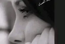 522878230 1289612999207499 8234746814870485976 n جريدة مؤسسة ايجي تايمز