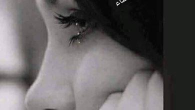 522878230 1289612999207499 8234746814870485976 n جريدة مؤسسة ايجي تايمز