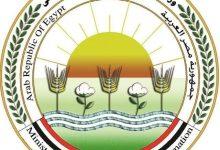 686ada2b6713a1751833131 1 جريدة مؤسسة ايجي تايمز