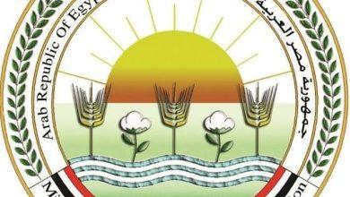 686ada2b6713a1751833131 1 جريدة مؤسسة ايجي تايمز