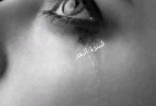 download 3 جريدة مؤسسة ايجي تايمز
