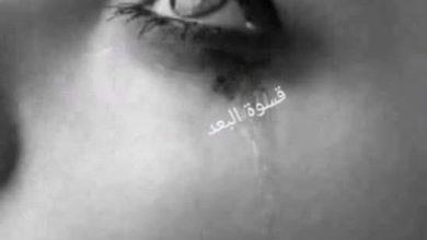 download 3 جريدة مؤسسة ايجي تايمز