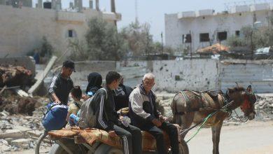 image1170x530cropped جريدة مؤسسة ايجي تايمز