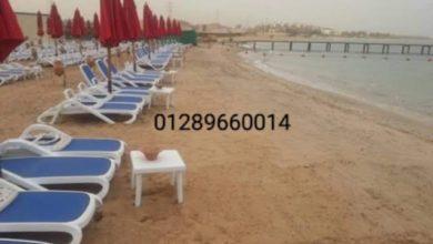 310a7fee c77d 4590 9099 f44da38efc42 جريدة مؤسسة ايجي تايمز