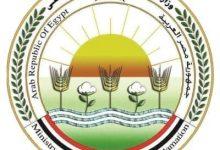 529656086 1306134418223642 4997035882714041004 n جريدة مؤسسة ايجي تايمز