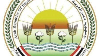 529656086 1306134418223642 4997035882714041004 n جريدة مؤسسة ايجي تايمز
