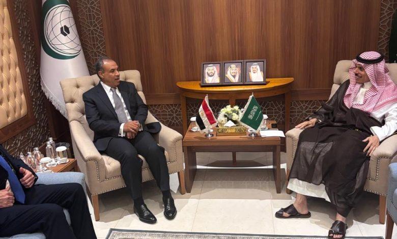 لقاء بين وزيري خارجية مصر والسعودية على هامش اجتماع منظمة التعاون الإسلامي بجدة 1 538235900 1320652810105136 3364419465360680700 n جريدة مؤسسة ايجي تايمز