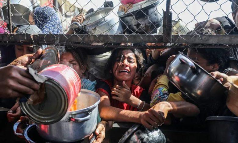 أونروا: يجب اتخاذ إجراءات فورية بشأن المجاعة والكارثة الإنسانية في غزة 1 39 2 جريدة مؤسسة ايجي تايمز