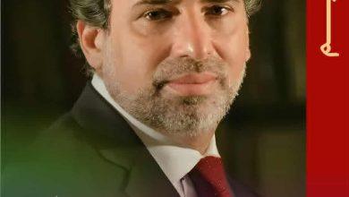 download 36 جريدة مؤسسة ايجي تايمز