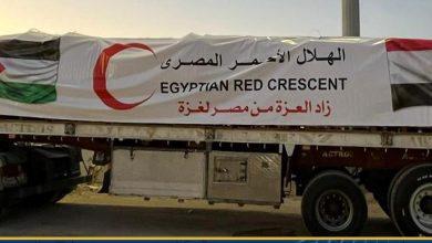 559008476 804241328892163 1883583279140450881 n جريدة مؤسسة ايجي تايمز