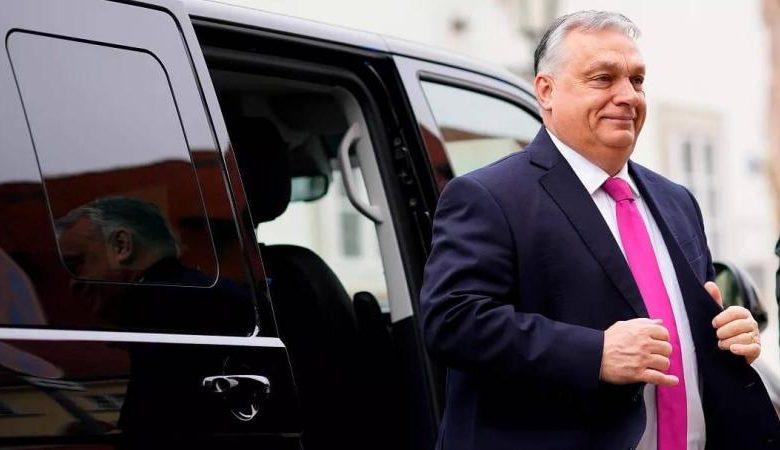 6144588 جريدة مؤسسة ايجي تايمز